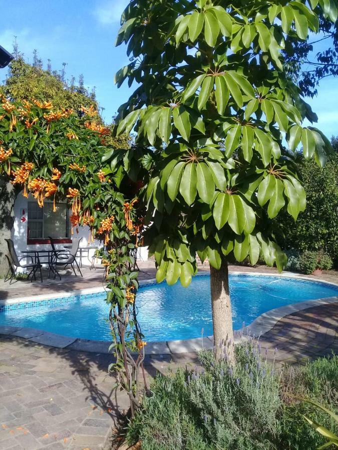 Clouds Guest House Дурбанвиль Экстерьер фото